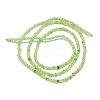 Natural Peridot Beads Strands G-G106-B01-01-2