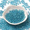 6/0 Transparent Inside Colours Glass Seed Beads SEED-P006-01A-08-2