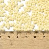 Glass Frosted Seed Beads SEED-K009-05B-08-4