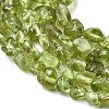Natural Peridot Beads Strands G-H346-A01-01-4