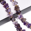 Natural Amethyst Beads Strands G-N371-10A-04-1