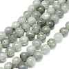 Natural Labradorite Beads Strands G-G828-01-10mm-1
