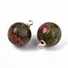 Natural Unakite Charms G-N332-024G-15-2