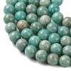 Natural Amazonite Beads Strands G-F602-02-8mm-01-4