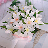 1Set Non-woven Fabric Material Package DIY-SC0032-33A-6