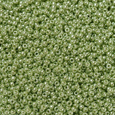MIYUKI Round Rocailles Beads X-SEED-G007-RR0439-1