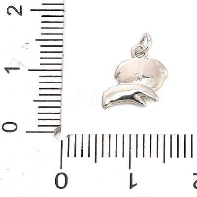 Brass Charms KK-H527-07C-P-1