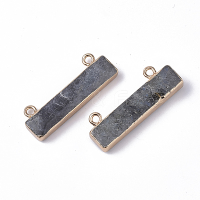 Natural Labradorite Charms X-G-S359-012B-1