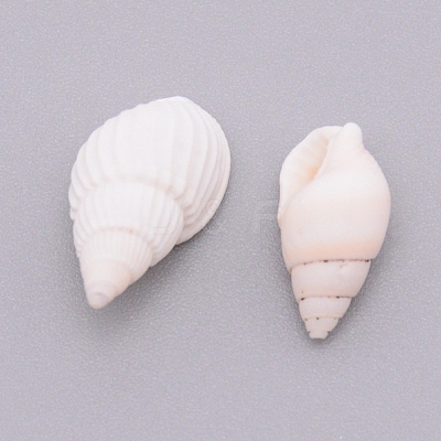 Natural Conch Shell Beads SSHEL-WH0001-29-1