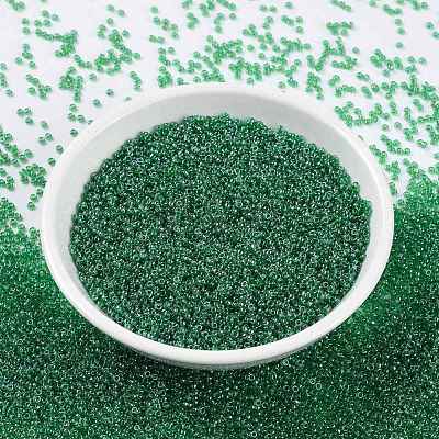 MIYUKI Round Rocailles Beads X-SEED-G009-RR0173-1