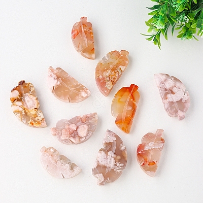 Natural Cherry Blossom Agate Display Decorations G-PW0004-28-1