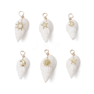 6Pcs 6 Styles Natural Shell Pendants PALLOY-JF03882-1