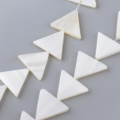 Natural Freshwater Shell Beads Strands X-SHEL-Q008-40-1