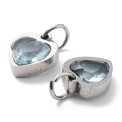 304 Stainless Steel Pendants STAS-D189-06P-14-1