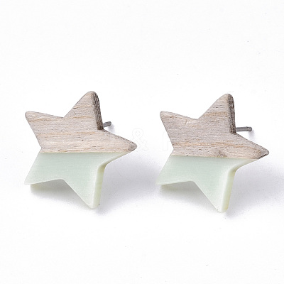 Resin & Wood Stud Earrings EJEW-N017-001A-C03-1