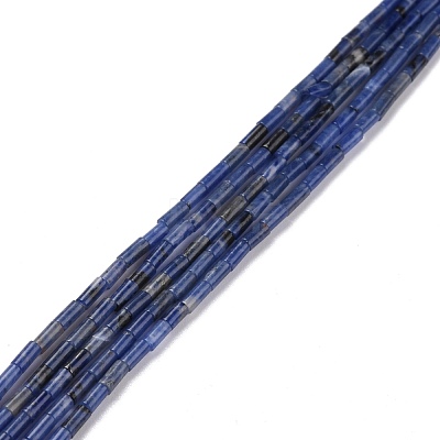 Natural Sodalite Beads Strands G-M389-11-1