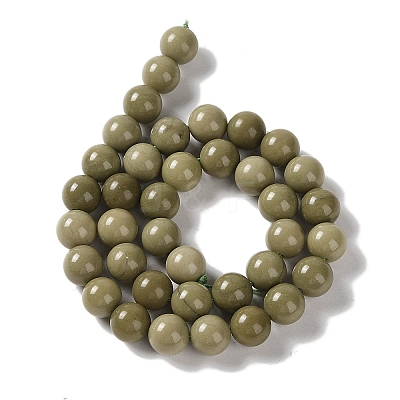 Natural Alashan Agate Beads Strands G-P530-B05-04-1