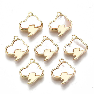 Natural Sea Shell Charms KK-S354-262-NF-1