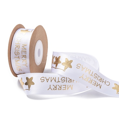Polyester Ribbon SRIB-P018-B03-1