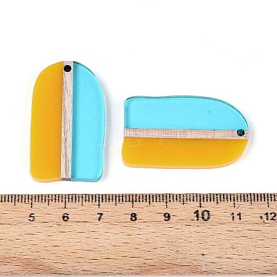 Transaprent Resin & Wood Pendants RESI-T057-81-1