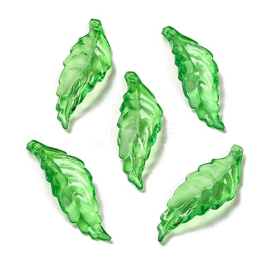 Transparent Acrylic Pendant OACR-E039-69G-1