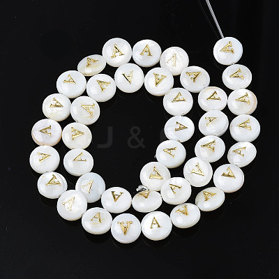 Natural Freshwater Shell Beads SHEL-S276-168A-1