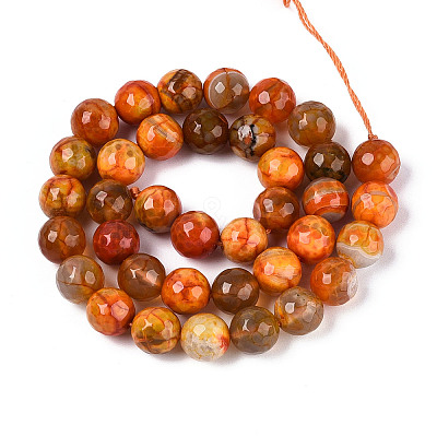 Dyed & Heated Natural Fire Crackle Agate Beads Strands G-N359-01B-09-1