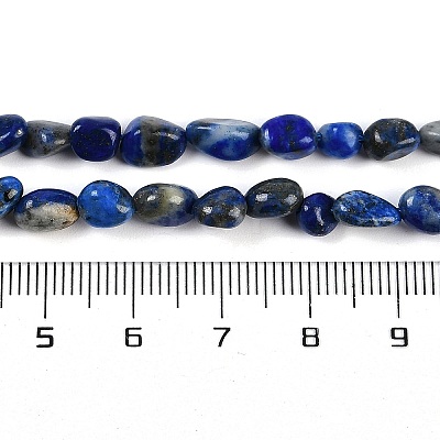Natural Lapis Lazuli Beads Strands G-P497-01B-14-1