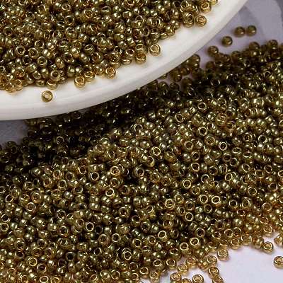 MIYUKI Round Rocailles Beads X-SEED-G009-RR0311-1