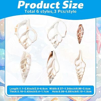 18Pcs 6 Styles Natural Shell Big Pendants BSHE-YW0001-20-1
