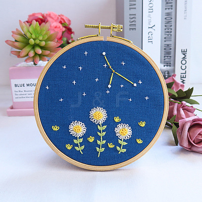 Flower & Constellation Pattern 3D Bead Embroidery Starter Kits DIY-P077-084-1