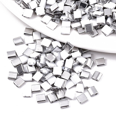 FGB 2-Hole Glass Seed Beads SEED-S031-L-ST41-K-1