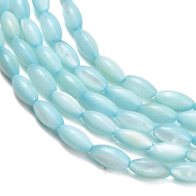 Natural Freshwater Shell Beads Strands SHEL-C010-01C-1