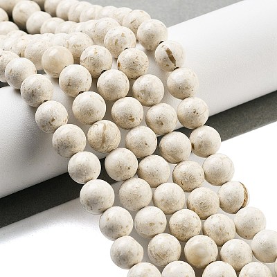 Natural Fossil Beads Strands G-H026-02B-1
