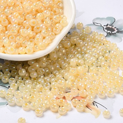 Glass Seed Beads SEED-H002-H-1307-1
