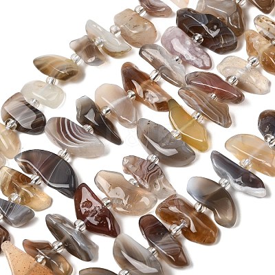 Natural Botswana Agate Beads Strands G-L649-A06-01-1