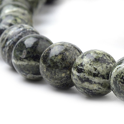 Natural Green Zebra Jasper Beads Strands G-S259-34-8mm-1