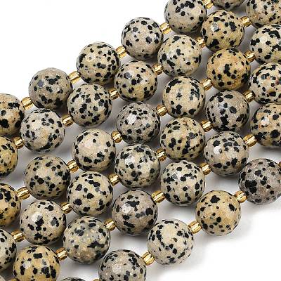 Natural Dalmatian Jasper Beads Strands G-C249-A02-16mm-1