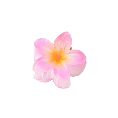 Plastic Claw Hair Clips PW-WG07B2B-11-1