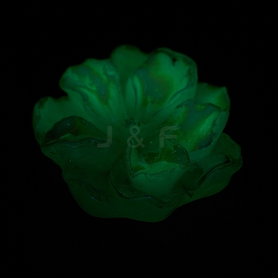 Luminous Resin Cabochons LS-RESI-E033-02E-1