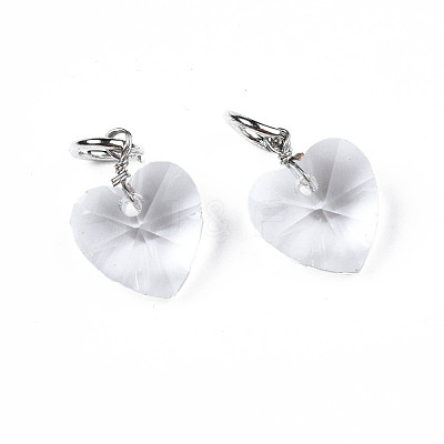 Faceted Transparent Glass Charms GLAA-T024-04L-1