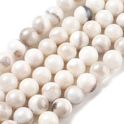 Natural Persian Jade Beads Strands G-A255-A02-02K-1