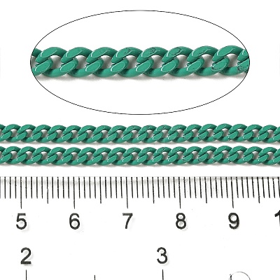 Spray Painted 304 Stainless Steel Curb Chains STAS-B067-05B-10-1