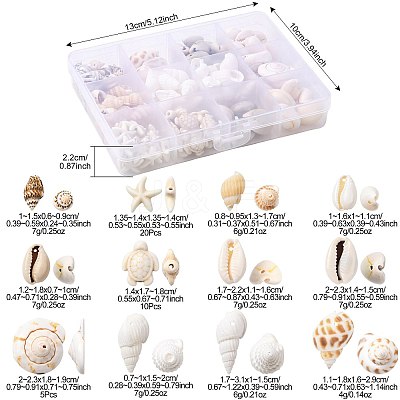 DIY Conch Shell Starfish Turtles Beads Findings Kits DIY-FS0010-25-1