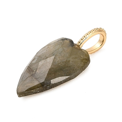 Natural Labradorite Pendants LS-G-C290-01D-1