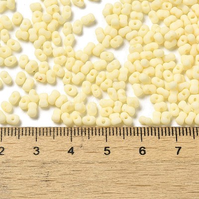 Glass Frosted Seed Beads SEED-K009-05B-08-1