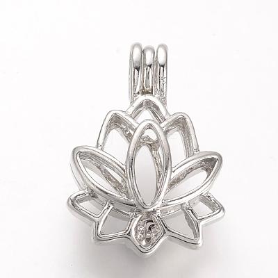 Alloy Diffuser Locket Pendants PALLOY-S062-40P-1