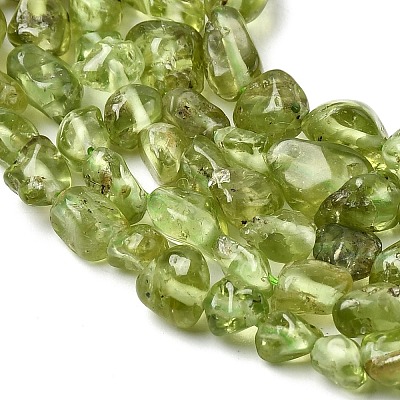 Natural Peridot Beads Strands G-H346-A01-01-1