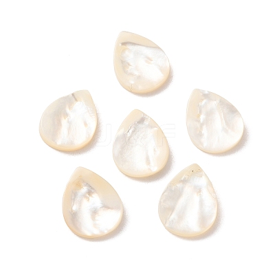 Natural White Shell Beads SSHEL-F305-01A-1