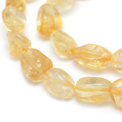 Natural Citrine Beads Strands G-P331-03A-1